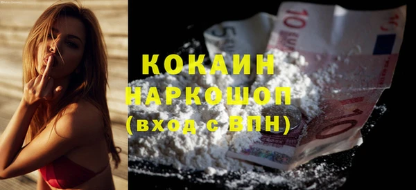 шишки Каменка