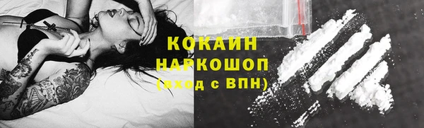 индика Каменск-Шахтинский