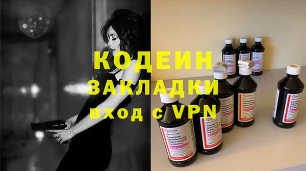 шишки Каменка