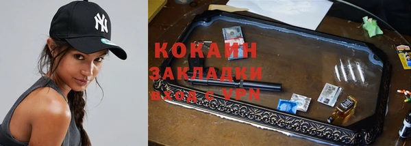 индика Каменск-Шахтинский
