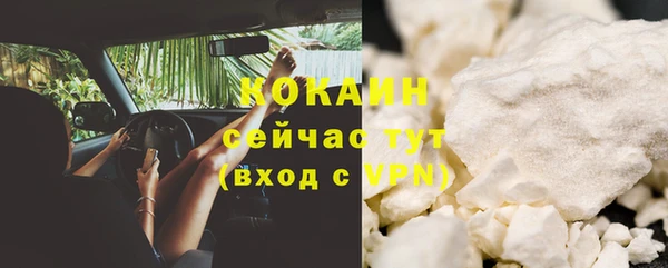 PSILOCYBIN Каменногорск