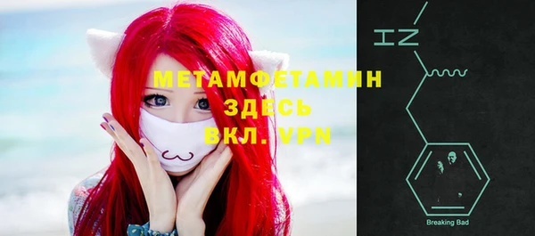 шишки Каменка