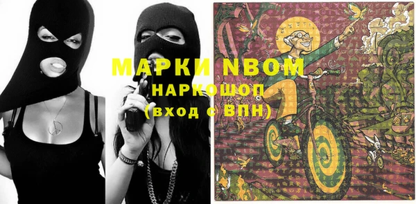 шишки Каменка