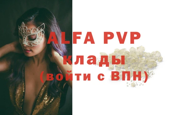 шишки Каменка
