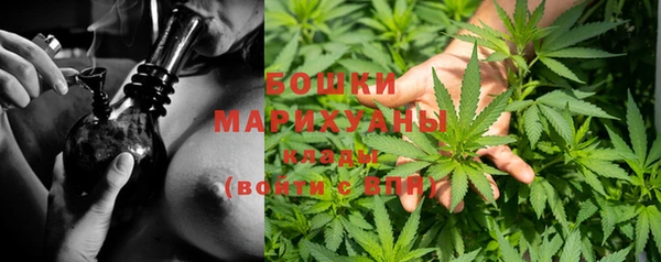 PSILOCYBIN Каменногорск