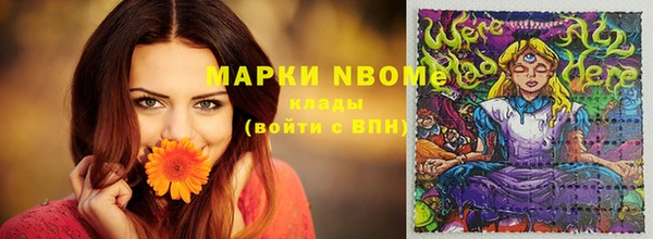 шишки Каменка
