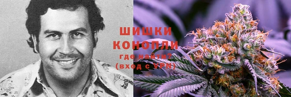 индика Каменск-Шахтинский