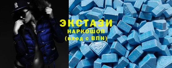 шишки Каменка